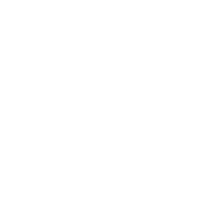 ISO 9001 white
